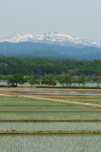 白山・木場潟（春）